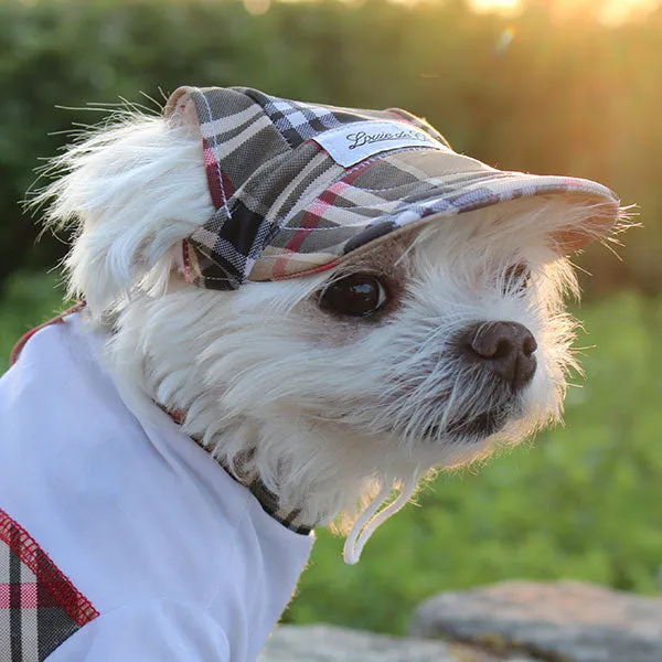 Cooling Dog Hat with UPF50   Cream Puff